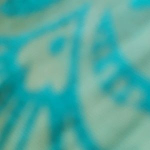 Meet your Posher, Lina